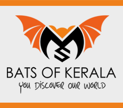 Bats Of Kerala Logo